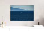 Lade das Bild in den Galerie-Viewer, BLUE BOATING
