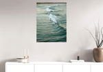 Lade das Bild in den Galerie-Viewer, BONDI SPORT
