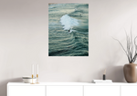 Lade das Bild in den Galerie-Viewer, BONDI GLIDING
