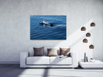 Lade das Bild in den Galerie-Viewer, DOLPHIN SPLASH
