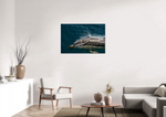 Lade das Bild in den Galerie-Viewer, DOLPHIN EXHALE
