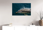 Lade das Bild in den Galerie-Viewer, DOLPHIN EXHALE
