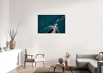 Lade das Bild in den Galerie-Viewer, DOLPHIN INHALE
