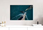 Lade das Bild in den Galerie-Viewer, DOLPHIN INHALE
