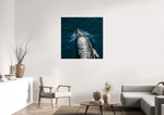 Lade das Bild in den Galerie-Viewer, DOLPHIN SPEED
