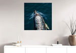 Lade das Bild in den Galerie-Viewer, DOLPHIN SPEED
