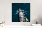 Lade das Bild in den Galerie-Viewer, DOLPHIN SPEED
