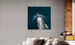 Lade das Bild in den Galerie-Viewer, DOLPHIN SPEED
