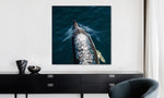 Lade das Bild in den Galerie-Viewer, DOLPHIN SPEED
