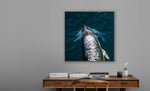 Lade das Bild in den Galerie-Viewer, DOLPHIN SPEED
