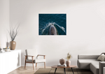 Lade das Bild in den Galerie-Viewer, DOLPHIN BREATHE
