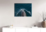 Lade das Bild in den Galerie-Viewer, DOLPHIN BREATHE
