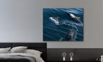 Lade das Bild in den Galerie-Viewer, DOLPHIN PLAY
