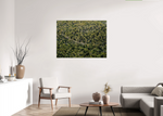 Lade das Bild in den Galerie-Viewer, GREEN ROAD
