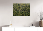 Lade das Bild in den Galerie-Viewer, GREEN ROAD
